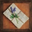 Picture of LETTERS TO HOME II
