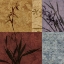 Picture of FLORAL AND STILL LIFE REFRAIN I