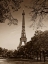 Picture of AN AFTERNOON STROLL - PARIS II
