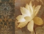 Picture of LETTRE DAMOUR II