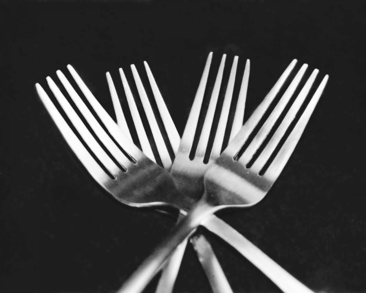 Picture of FORKS