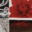 Picture of FLORA II