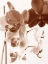 Picture of DREAMY ORCHIDS I
