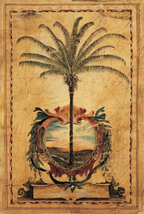 Picture of SUNSET PALM
