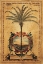 Picture of SUNSET PALM