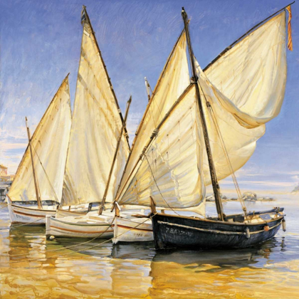 Picture of WHITE SAILS II