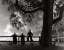Picture of DAYS END