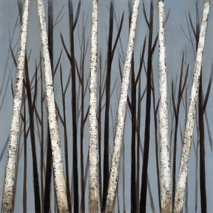Picture of BIRCH SHADOWS