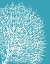 Picture of AQUA CORAL II