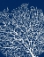 Picture of NAVY CORAL I