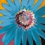 Picture of SUNSHINE FLOWER II