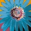 Picture of SUNSHINE FLOWER II