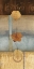 Picture of FREE FALL I