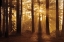 Picture of TAHOE SMOKY SUNRISE