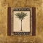 Picture of STATELY PALM I