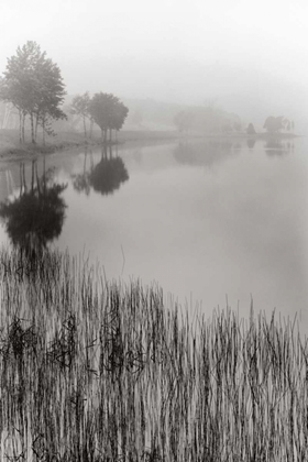 Picture of LAKESIDE MIST