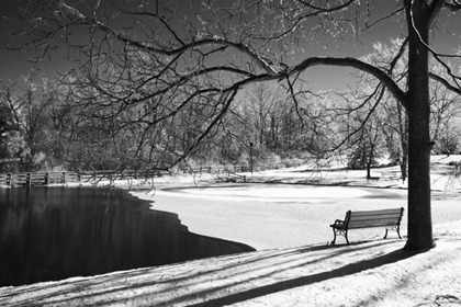 Picture of HERITAGE POND IN WINTER