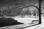 Picture of HERITAGE POND IN WINTER