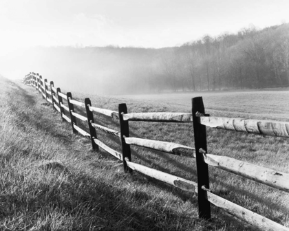 Picture of VANISHING FENCE