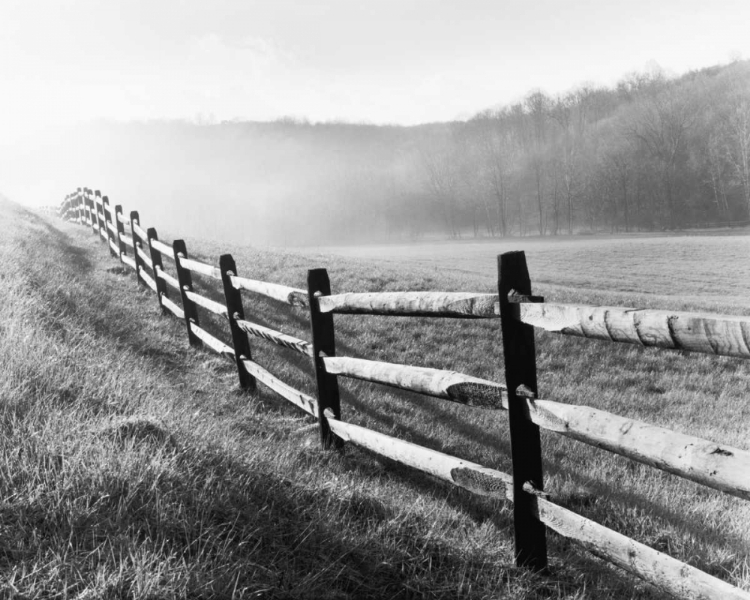Picture of VANISHING FENCE