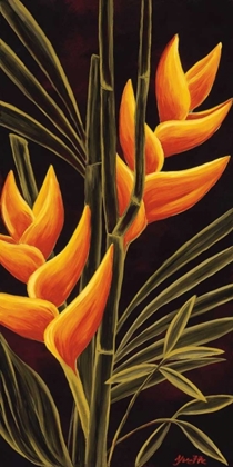 Picture of HELICONIA