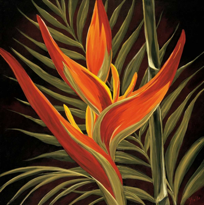 Picture of BIRDS OF PARADISE I
