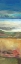Picture of NANTUCKET VISTAS I