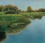 Picture of YELLOW SKY AND REFLECTION