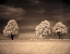 Picture of TOGETHER AND ALONE II