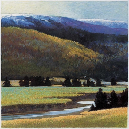 Picture of FOOTHILLS IN LATE SPRING