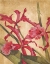 Picture of HAWAIIAN TROPICS I