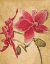 Picture of HAWAIIANTROPICS II