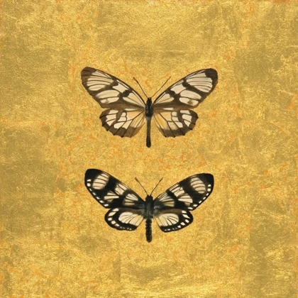 Picture of PAIR OF BUTTERFLIES ON GOLD