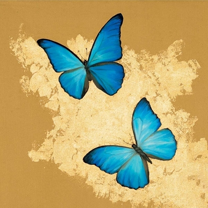 Picture of CERULEAN BUTTERFLY I