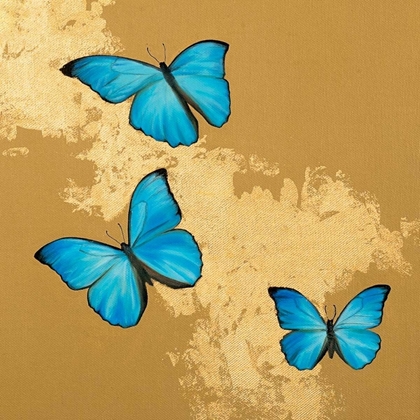 Picture of CERULEAN BUTTERFLY II