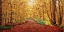 Picture of AUTUMN DREAM
