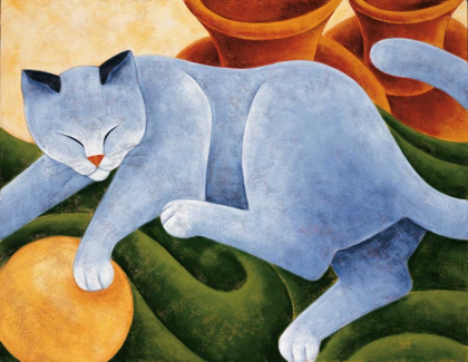 Picture of CATS AND POTS