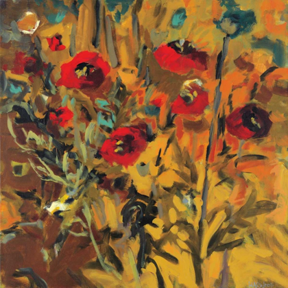 Picture of WILD POPPIES