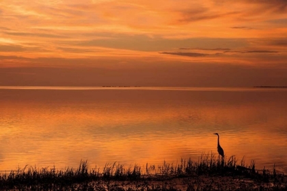 Picture of CRYSTAL BEACH SUNSET