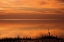 Picture of CRYSTAL BEACH SUNSET