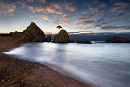 Picture of TOSSA DE MAR