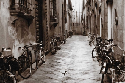 Picture of LUCCA BIKES
