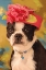 Picture of MRS. BOST