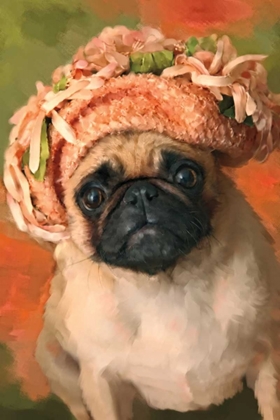 Picture of MS. PUG