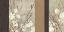 Picture of LACE