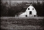 Picture of AMERICANA