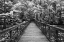 Picture of A WALK INTO TRANQUILITY