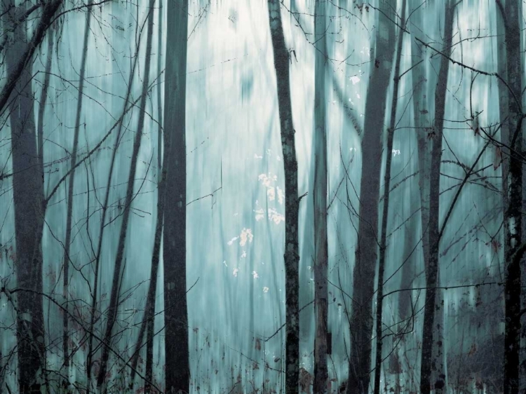 Picture of SPRING MIST I