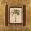 Picture of STATELY PALM II