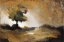Picture of TREE IN FALL